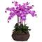 2.5ft. Potted Large Moth Orchid Arrangement, Purple